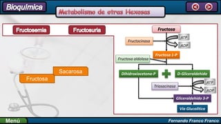 Fernando Franco FrancoMenú
< >
Fructosa
Sacarosa Dihidroxiacetona-P D-Gliceraldehido
Fructosa 1-P
Fructosa
Fructocinasa
ATP
ADP
Gliceraldehido 3-P
Vía Glucolítica
Fructosa aldolasa
ATP
ADP
Triosacinasa
 