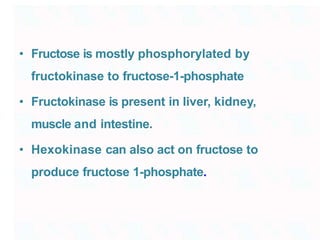 • Fructose is mostly phosphorylated by
fructokinase to fructose-1-phosphate
• Fructokinase is present in liver, kidney,
muscle and intestine.
• Hexokinase can also act on fructose to
produce fructose 1-phosphate.
 