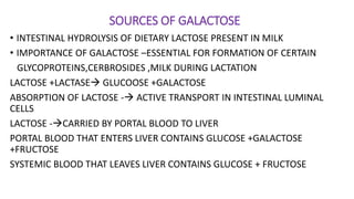 SOURCES OF GALACTOSE
• INTESTINAL HYDROLYSIS OF DIETARY LACTOSE PRESENT IN MILK
• IMPORTANCE OF GALACTOSE –ESSENTIAL FOR FORMATION OF CERTAIN
GLYCOPROTEINS,CERBROSIDES ,MILK DURING LACTATION
LACTOSE +LACTASE GLUCOOSE +GALACTOSE
ABSORPTION OF LACTOSE - ACTIVE TRANSPORT IN INTESTINAL LUMINAL
CELLS
LACTOSE -CARRIED BY PORTAL BLOOD TO LIVER
PORTAL BLOOD THAT ENTERS LIVER CONTAINS GLUCOSE +GALACTOSE
+FRUCTOSE
SYSTEMIC BLOOD THAT LEAVES LIVER CONTAINS GLUCOSE + FRUCTOSE
 