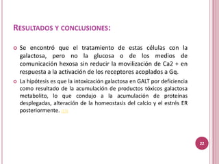 RESULTADOS Y CONCLUSIONES:

   Se encontró que el tratamiento de estas células con la
    galactosa, pero no la glucosa o de los medios de
    comunicación hexosa sin reducir la movilización de Ca2 + en
    respuesta a la activación de los receptores acoplados a Gq.
   La hipótesis es que la intoxicación galactosa en GALT por deficiencia
    como resultado de la acumulación de productos tóxicos galactosa
    metabolito, lo que condujo a la acumulación de proteínas
    desplegadas, alteración de la homeostasis del calcio y el estrés ER
    posteriormente. (13)




                                                                            22
 