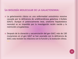 LA BIOLOGÍA MOLECULAR DE LA GALACTOSEMIA:
   La galactosemia clásica es una enfermedad autosómica recesiva
    causada por la deficiencia de uridiltransferasa galactosa 1-fosfato
    (GALT). Aunque el potencialmente letal, síndrome hepatotóxico
    neonatal se ve impedido por la investigación recién nacida y la
    restricción a la galactosa.

   Después de la clonación y secuenciación del gen GALT, más de 130
    mutaciones en el gen GALT se han asociado con la deficiencia de
    GALT, esta revisión los relaciona con la función y la evolución clínica.
    (14)




                                                                               23
 