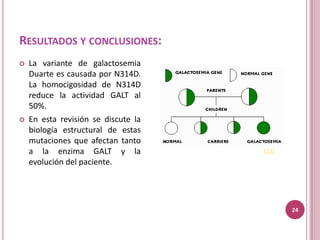 RESULTADOS Y CONCLUSIONES:
   La variante de galactosemia
    Duarte es causada por N314D.
    La homocigosidad de N314D
    reduce la actividad GALT al
    50%.
   En esta revisión se discute la
    biología estructural de estas
    mutaciones que afectan tanto
    a la enzima GALT y la            (15)
    evolución del paciente.




                                            24
 