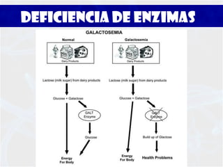 Ictericia generalizada y prolongada; anemia hemolítica.