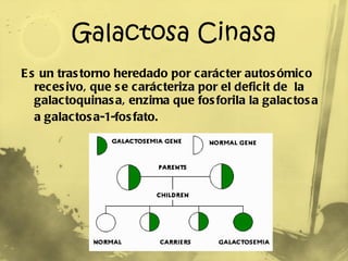 Galactosa Cinasa Es un trastorno heredado por carácter autosómico recesivo, que se carácteriza por el deficit de  la galactoquinasa, enzima que fosforila la galactosa a galactosa-1-fosfato.   