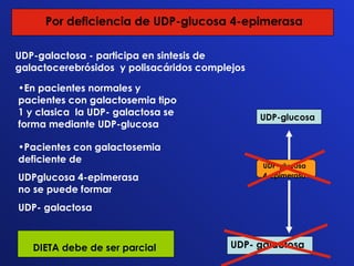 UDP-glucosa UDP- galactosa UDP-glucosa  4-epimerasa Por deficiencia de UDP-glucosa 4-epimerasa UDP-galactosa - participa en sintesis de galactocerebrósidos  y polisacáridos complejos  En pacientes normales y pacientes con galactosemia tipo 1 y clasica  la UDP- galactosa se forma mediante UDP-glucosa Pacientes con galactosemia  deficiente de  UDPglucosa 4-epimerasa  no se puede formar  UDP- galactosa DIETA debe de ser parcial  