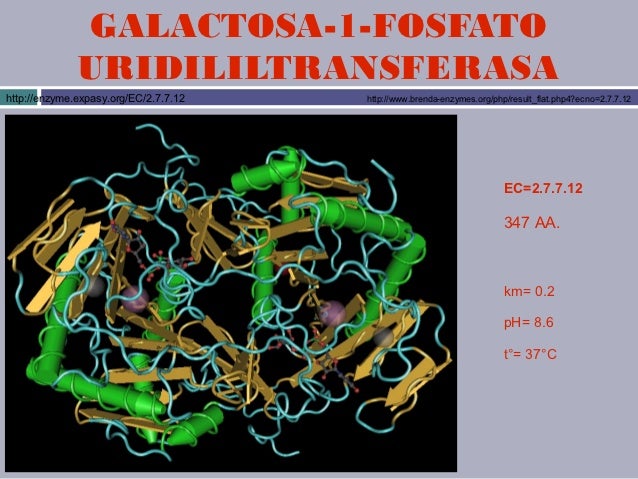 La mejor solución para dieta del metabolismo acelerado pdf