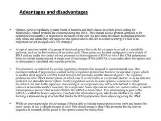 Advantages and disadvantages
• Operon, genetic regulatory system found in bacteria and their viruses in which genes coding for
functionally related proteins are clustered along the DNA. This feature allows protein synthesis to be
controlled coordinately in response to the needs of the cell. By providing the means to produce proteins
only when and where they are required, the operon allows the cell to conserve energy (which is an
important part of an organism’s life strategy).
• A typical operon consists of a group of structural genes that code for enzymes involved in a metabolic
pathway, such as the biosynthesis of an amino acid. These genes are located contiguously on a stretch of
DNA and are under the control of one promoter (a short segment of DNA to which the RNA polymerase
binds to initiate transcription). A single unit of messenger RNA (mRNA) is transcribed from the operon and
is subsequently translated into separate proteins.
• The promoter is controlled by various regulatory elements that respond to environmental cues. One
common method of regulation is carried out by a regulator protein that binds to the operator region, which
is another short segment of DNA found between the promoter and the structural genes. The regulator
protein can either block transcription, in which case it is referred to as a repressor protein; or as an activator
protein it can stimulate transcription. Further regulation occurs in some operons: a molecule called
an inducer can bind to the repressor, inactivating it; or a repressor may not be able to bind to the operator
unless it is bound to another molecule, the corepressor. Some operons are under attenuator control, in which
transcription is initiated but is halted before the mRNA is transcribed. This introductory region of the
mRNA is called the leader sequence; it includes the attenuator region, which can fold back on itself,
forming a stem-and-loop structure that blocks the RNA polymerase from advancing along the DNA.
• While an operon provides the advantage of being able to initiate transcription at one point and transcribe
many genes, it has its disadvantages as well. One disadvantage is that if the promoter for the operon
sequence is mutated, all the genes in the operon cannot be transcribed.
 