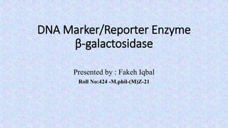 DNA Marker/Reporter Enzyme
β-galactosidase
Presented by : Fakeh Iqbal
Roll No:424 -M.phil-(M)Z-21
 