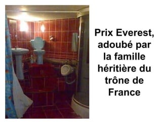 Prix Everest,
adoubé par
la famille
héritière du
trône de
France
 