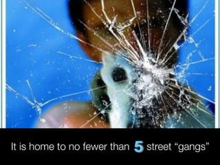 Gala Final Presentation