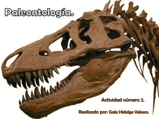 Paleontología. 	Actividad número 2. Realizado por: Gala Hidalgo Velasco. 