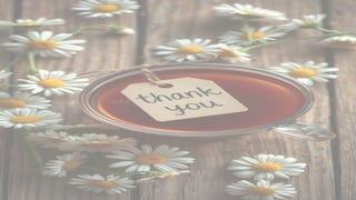 Galanicals                         .pptx