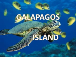GALAPAGOS 		ISLAND 