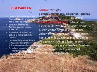 ISLA ISABELA                  FAUNA: tortugas
                                  gigantes, flamingos, pinguinos, iguanas
• Ubicada el noreste de la Isla
  Floreana, siendo atravesada
                                  marinas, lobos marinos, tiburones
  por la línea equinoccial.       LUGARES TURISTICOS: Isabela tiene
• Es la más extensa del
  Archipiélago con más de         espectaculares sitios de visita, donde se
  4.588 km².                      puede visitar desde la cumbre del
• El nombre de Isabela se
  debe a la Reina Isabel de       volcán Sierra Negra con sus fumarolas
  Castilla.                       hasta las más apacibles playas, bahías
• La forma de la isla se debe a
  la fusión de seis grandes       de aguas cristalinas y lagunas con
  volcanes en una sola masa..     singulares plantas y animales. También
• En Isabela se puede disfrutar
  de increíbles paisajes, una
                                  se puede apreciar los increíbles
  maravillosa fauna y flora que   cambios de vegetación.
  son una de las más
  reconocidas a nivel mundial.
 