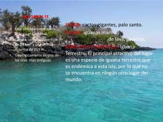 ISLA SANTA FE
                              FLORA: cactos gigantes, palo santo.
• Esta ubicada entre santa
  cruz y san Cristóbal.       FAUNA: iguanas marinas y
• Cuneta con una superficie   terrestres, lagartija de lava, gaviotas.
  de 24 km² y una altitud
  máxima de 259 m.
                              ATRACTIVO TURISTICOS: Iguana
• Geológicamente es una de    Terrestre: El principal atractivo del lugar
  las islas mas antiguas.     es una especie de iguana terrestre que
                              es endémica a esta isla, por lo que no
                              se encuentra en ningún otro lugar del
                              mundo.
 