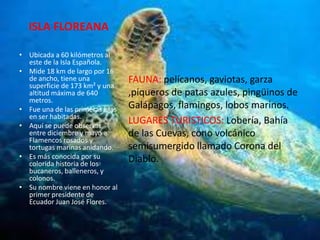 ISLA FLOREANA

• Ubicada a 60 kilómetros al
  este de la Isla Española.
• Mide 18 km de largo por 16
  de ancho, tiene una             FAUNA: pelícanos, gaviotas, garza
  superficie de 173 km² y una
  altitud máxima de 640           ,piqueros de patas azules, pingüinos de
  metros.
• Fue una de las primeras islas   Galápagos, flamingos, lobos marinos.
  en ser habitadas.
• Aquí se puede observar
                                  LUGARES TURISTICOS: Lobería, Bahía
  entre diciembre y mayo a        de las Cuevas, cono volcánico
  Flamencos rosados y
  tortugas marinas anidando.      semisumergido llamado Corona del
• Es más conocida por su          Diablo.
  colorida historia de los
  bucaneros, balleneros, y
  colonos.
• Su nombre viene en honor al
  primer presidente de
  Ecuador Juan José Flores.
 