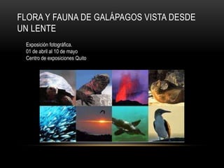 FLORA Y FAUNA DE GALÁPAGOS VISTA DESDE
UN LENTE
 Exposición fotográfica.
 01 de abril al 10 de mayo
 Centro de exposiciones Quito
 