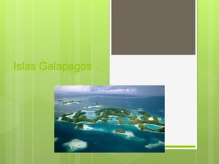 Islas Galapagos
 