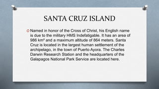 SANTA CRUZ ISLAND
O Named in honor of the Cross of Christ, his English name
is due to the military HMS Indefatigable. It has an area of
986 km² and a maximum altitude of 864 meters. Santa
Cruz is located in the largest human settlement of the
archipelago, in the town of Puerto Ayora. The Charles
Darwin Research Station and the headquarters of the
Galapagos National Park Service are located here.
 