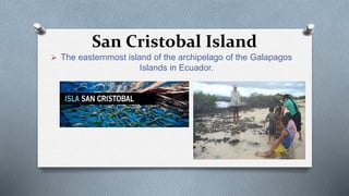 San Cristobal Island
 The easternmost island of the archipelago of the Galapagos
Islands in Ecuador.
 