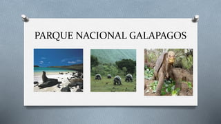PARQUE NACIONAL GALAPAGOS
.
 