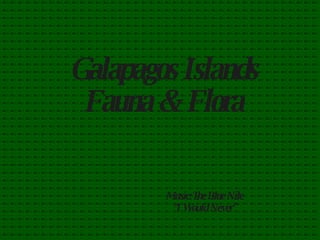 Galapagos Islands Fauna & Flora Music:The Blue Nile “ I Would Never” 