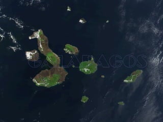 Galápagos