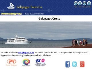 Visit our exclusive Galapagos cruise trips which will take you on a trip to the amazing location.
Appreciate the amazing landscapes and wild life here.
Galapagos Cruise
 