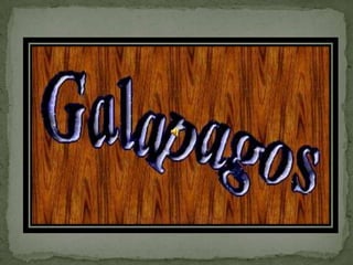  Galapagos ec.compu