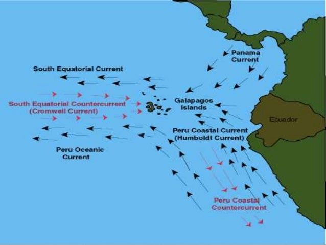 Why Are The Galapagos Islands Important To Natural Selection Why Are The Galapagos Islands Important To Natural Selection