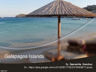 Galápagos Islands
By- Samantha Sanchez
G+: https://plus.google.com/u/0/103551775337378459971/posts

 