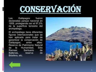 CONSERVACIÓN
Las       Galápagos       fueron
declaradas parque nacional en
1959, protegiendo así el 97,5%
de la superficie terrestre del
archipiélago.
El archipiélago tiene diferentes
figuras internacionales que se
han aplicado para tratar de
garantizar la conservación de
Galápagos;       entre     ellas:
Reserva de Patrimonio Natural
de    la    Humanidad,      Sitio
Ramsar,        Santuario      de
Ballenas,       reserva       de
Biósfera, etc.




                                    5
 