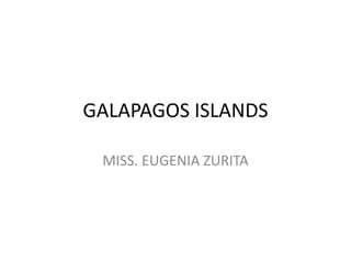 GALAPAGOS ISLANDS

 MISS. EUGENIA ZURITA
 