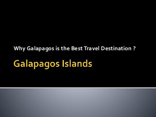 Why Galapagos is the Best Travel Destination ? 
 