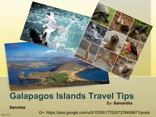 Galapagos Islands Travel Tips
Sanchez

By- Samantha
G+: https://plus.google.com/u/0/103551775337378459971/posts

 