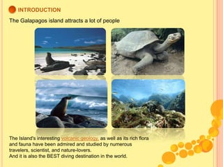 INTRODUCTION<br />The Galapagos island attracts a lot of people<br />The Island's interesting volcanic geology, as well as...