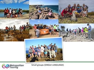 Small groups (SINGLE LANGUAGE)
 
