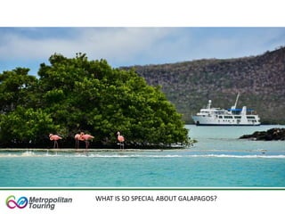 WHAT IS SO SPECIAL ABOUT GALAPAGOS?
 