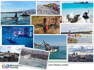 Close encounters with UNIQUE wildlife
 