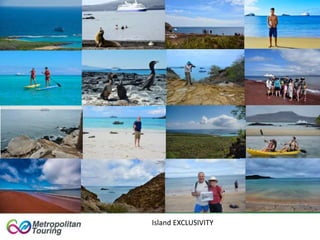Island EXCLUSIVITY
 