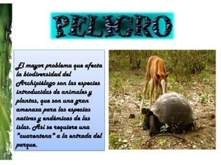 El mayor problema que afecta la biodiversidad del Archipiélago son las especies introducidas de animales y plantas, que son una gran amenaza para las especias nativas y endémicas de las islas. Así se requiere una "cuarentena" a la entrada del parque.