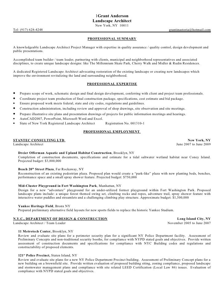 Resume executive sample