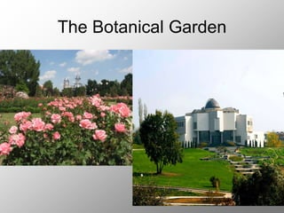 The Botanical Garden
 