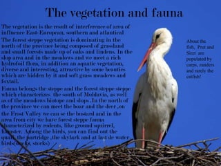 The vegetation and fauna
The vegetation is the result of interference of area of
influence East-European, southern and atlantical
The forest steppe vegetation is dominating in the         About the
north of the province being composed of grassland         fish, Prut and
and small forests made up of oaks and lindens. In the     Siret are
slop area and in the meadows and we meet a rich           populated by
hydrofoil flora, in addition an aquatic vegetation,       carps, zanders
diverse and interesting, attractive by some beauties      and rarely the
which are hidden by it and soft grass meadows and         catfish!
foxtail.
Fauna belongs the steppe and the forest steppe steppe
which characterizes the south of Moldavia, as well
as of the meadows biotope and slops .In the north of
the province we can meet the boar and the deer ,on
the Frost Valley we can se the bustard and in the
area from city we have forest steppe fauna
characterized by rodents, like ground squirrel,
hamster. Among the birds, you can find out the
quail, the partridge ,the skylark and at last de water
birds(ducks, storks)
 