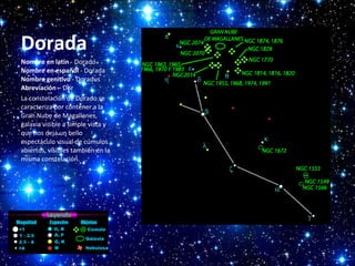 Dorada
Nombre en latín - Dorado
Nombre en español - Dorada
Nombre genitivo - Doradus
Abreviación – Dor
La constelación de Dorado se
caracteriza por contener a la
Gran Nube de Magallanes,
galaxia visible a simple vista y
que nos deja un bello
espectáculo visual de cúmulos
abiertos, visibles también en la
misma constelación.

 