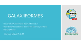 GALAXIIFORMES
Universidad Autónoma de Baja California Sur
Departamento académico de Ciencias Marinas y Costeras
Biología Marina
Alumno: Miguel A. G. M.
 