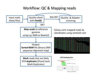 Workflow: QC & Mapping reads
Input reads
(fastq files)
Quality check
with FastQC
Quality- & Adapter-
trimming
Not OK?
OK?
Map reads to reference
genome
using e.g. BWA or Bowtie2
Output:
Sorted BAM file (binary SAM
sequence alignment map)
Galaxy sorts mapped reads by
coordinates using samtools sort
Mark reads that are likely
PCR duplicates (Picard tools
Mark Duplicates)
Source: clc-bio.com
PCR Deduplication
 