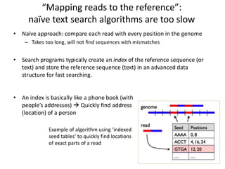 “Mapping reads to the reference”:
naïve text search algorithms are too slow
• Naïve approach: compare each read with every position in the genome
– Takes too long, will not find sequences with mismatches
• Search programs typically create an index of the reference sequence (or
text) and store the reference sequence (text) in an advanced data
structure for fast searching.
• An index is basically like a phone book (with
people’s addresses)  Quickly find address
(location) of a person
Example of algorithm using ‘indexed
seed tables’ to quickly find locations
of exact parts of a read
 