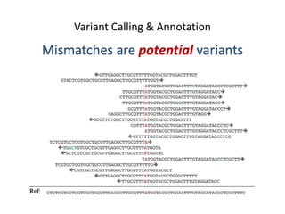 Variant Calling & Annotation
 