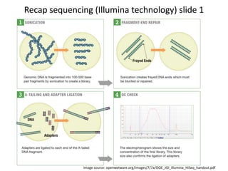 Recap sequencing (Illumina technology) slide 1
Image source: openwetware.org/images/7/7a/DOE_JGI_Illumina_HiSeq_handout.pdf
 